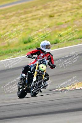 media/Apr-13-2024-Classic Track Day (Sat) [[9dd147332a]]/Group 3/Session 3 (Turn 3)/